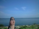 random image