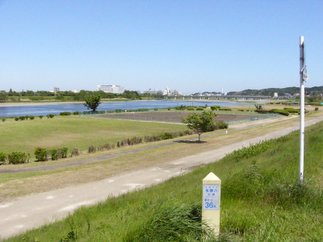 tama_river.jpg