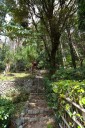 小径から小さな稲荷神社への参道